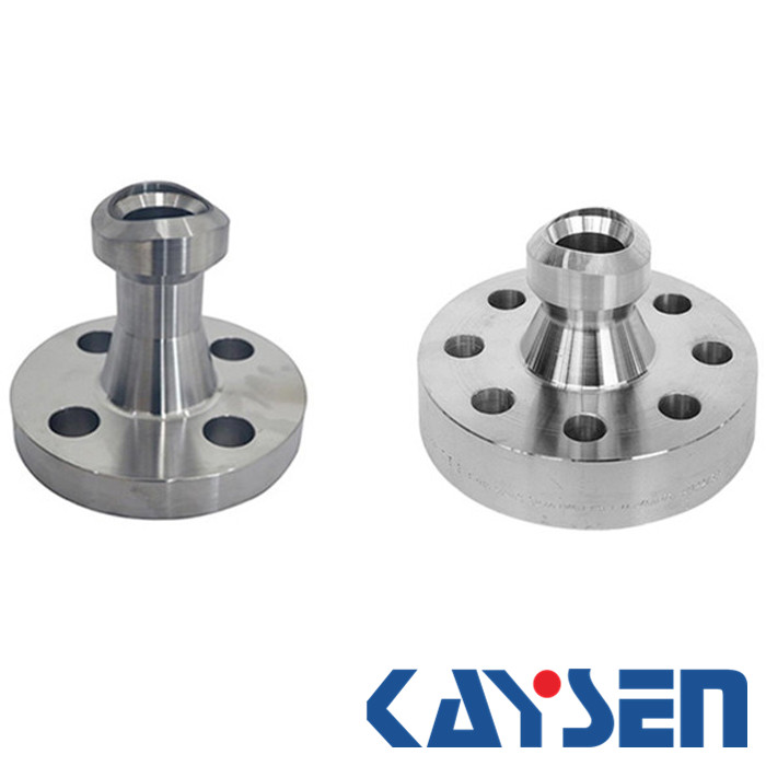 stainless steel forged weldo flange class1500